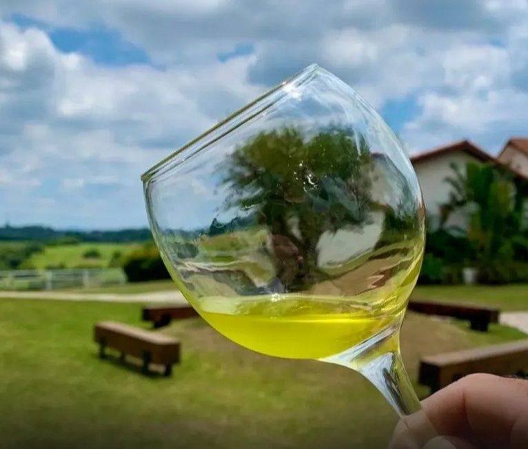 Estância das Oliveiras conquista troféu Best in Class e sete medalhas no ANATOLIAN iOOC